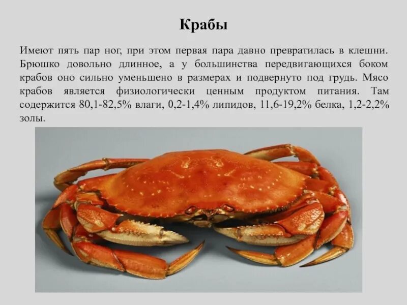 Почему нельзя есть краба. Брюшко краба. строение краба. брюшко краба строение. сколько конечностей у краба.