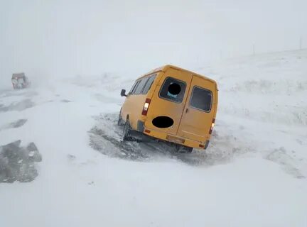 Газель оренбургская область