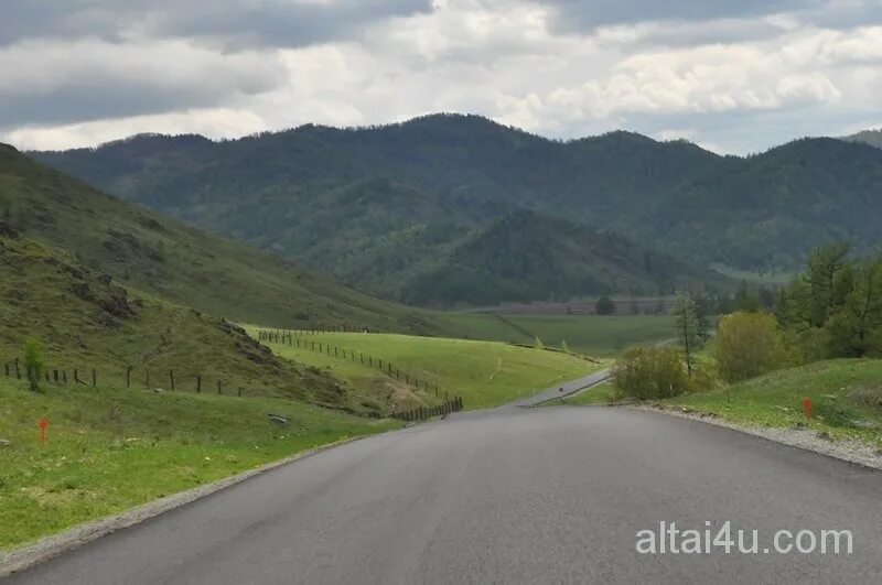 Российский Сервис Онлайн-Дневников Пейзажи, Туризм, Акуна матата