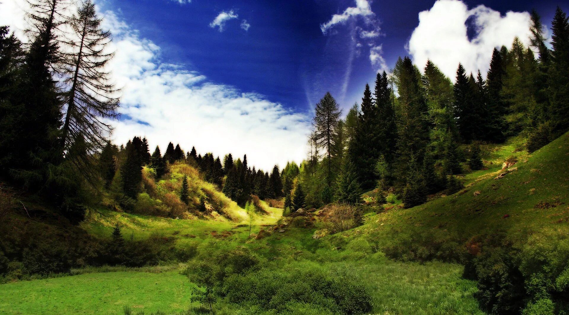Азорские острова 1920 1080. Прекрасная природа. Пейзаж. Пейзаж озеро. Зеленый лес.