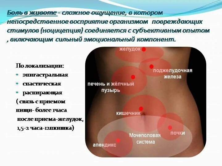 Боль при нажатии. Локализация боли в животе. боль в желудке локализация.