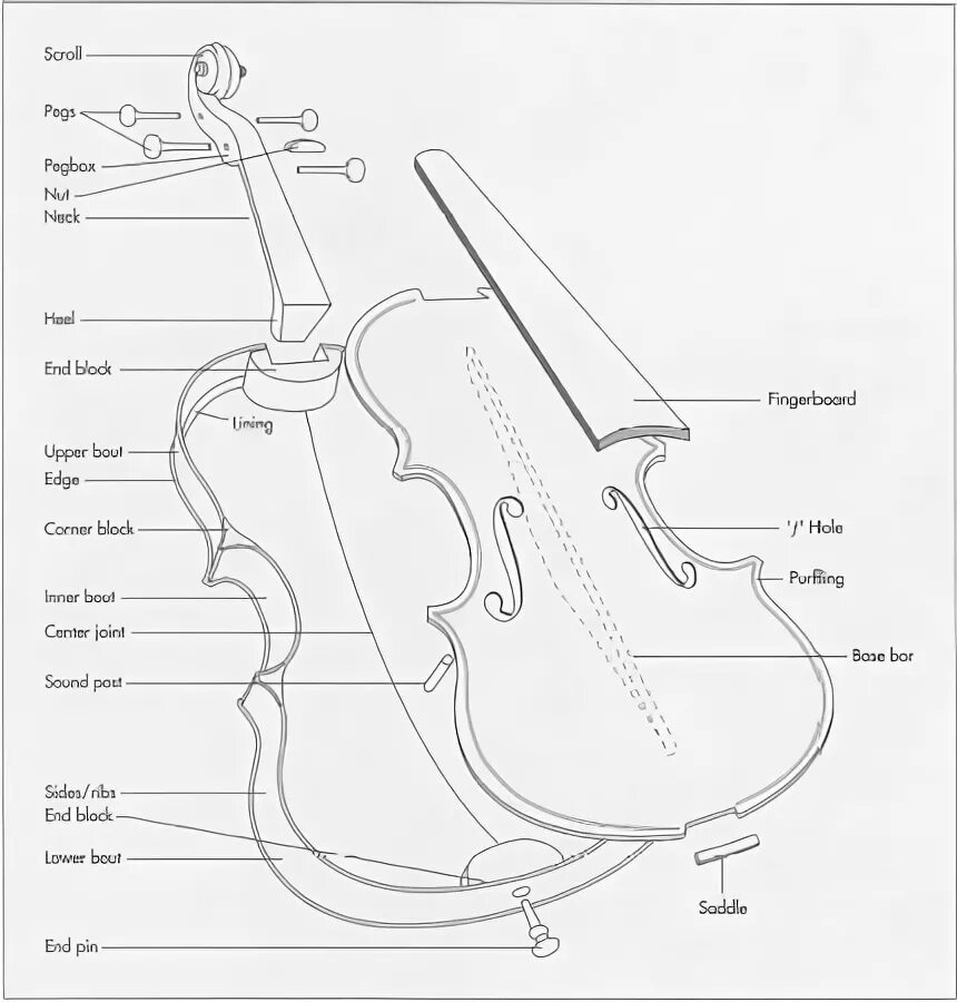 Чертежи скрипки Страдивари. Чертеж скрипки Antonio Stradivari. Строение скрипки (корпус, гриф). Схема скрипки 4/4. Схема скрипки