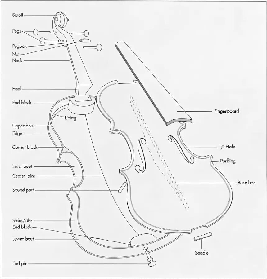Проект в мире скрипки 7 класс The first, a technical drawing of a 1685 Stradivari and the second a collage of