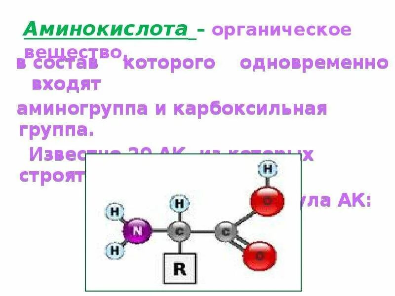Белки группа соединений. Общая формула аминокислот. Белки аминогруппы. Белок аминокислоты аминогруппа карбоксильная группа схема. Аминокислоты органическая химия.