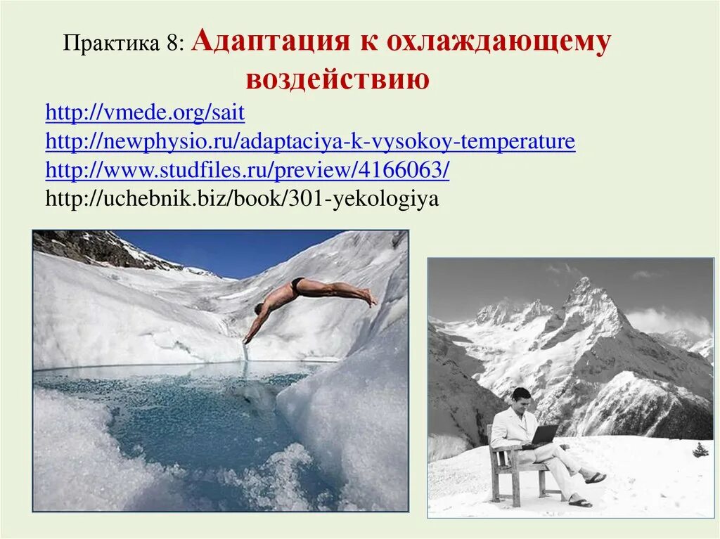 Адаптация к холоду. Адаптация человека к холоду. Адаптация к холодному климату. Адаптация к условиям высокогорья. Чувствительный к холоду з