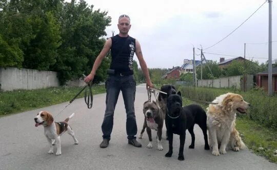 Антуан наджарян и итон. Дрессировщик собак антуан наджарян. Антуан наджарян книга. Антуан наджарян в молодости. Воспитание щенка антуан.