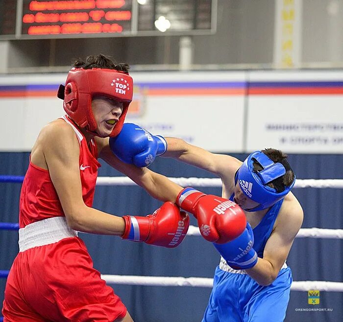 открытие турнира. открытие соревнований по самбо. кожаный мяч 2022 казань. открытие турнира. открытие соревнований.