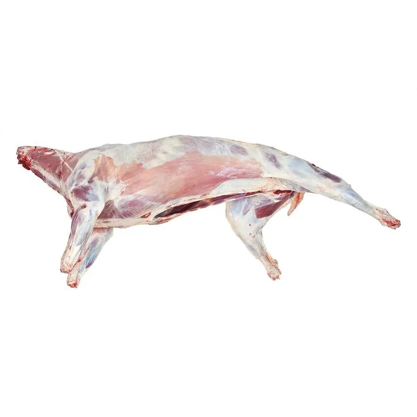 Туш баранины. Туш баранины. Туш баранины. Туш баранины. Баранина эдельбай тушка.