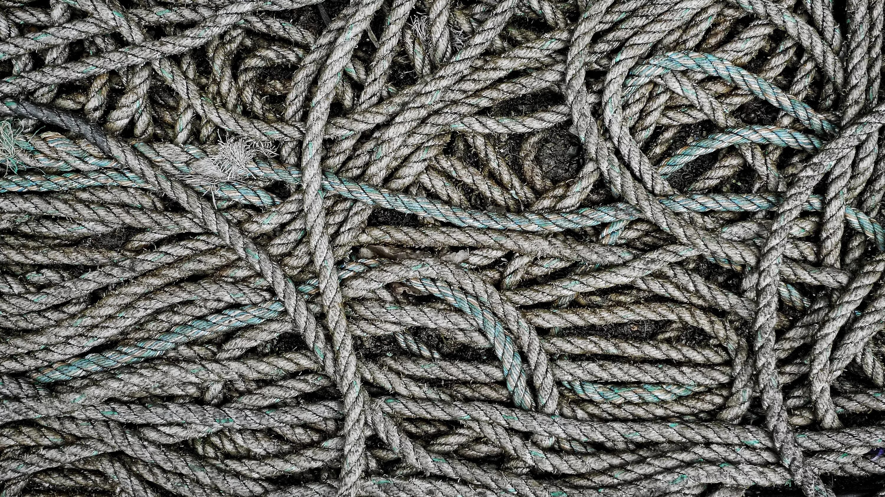 Wool pattern