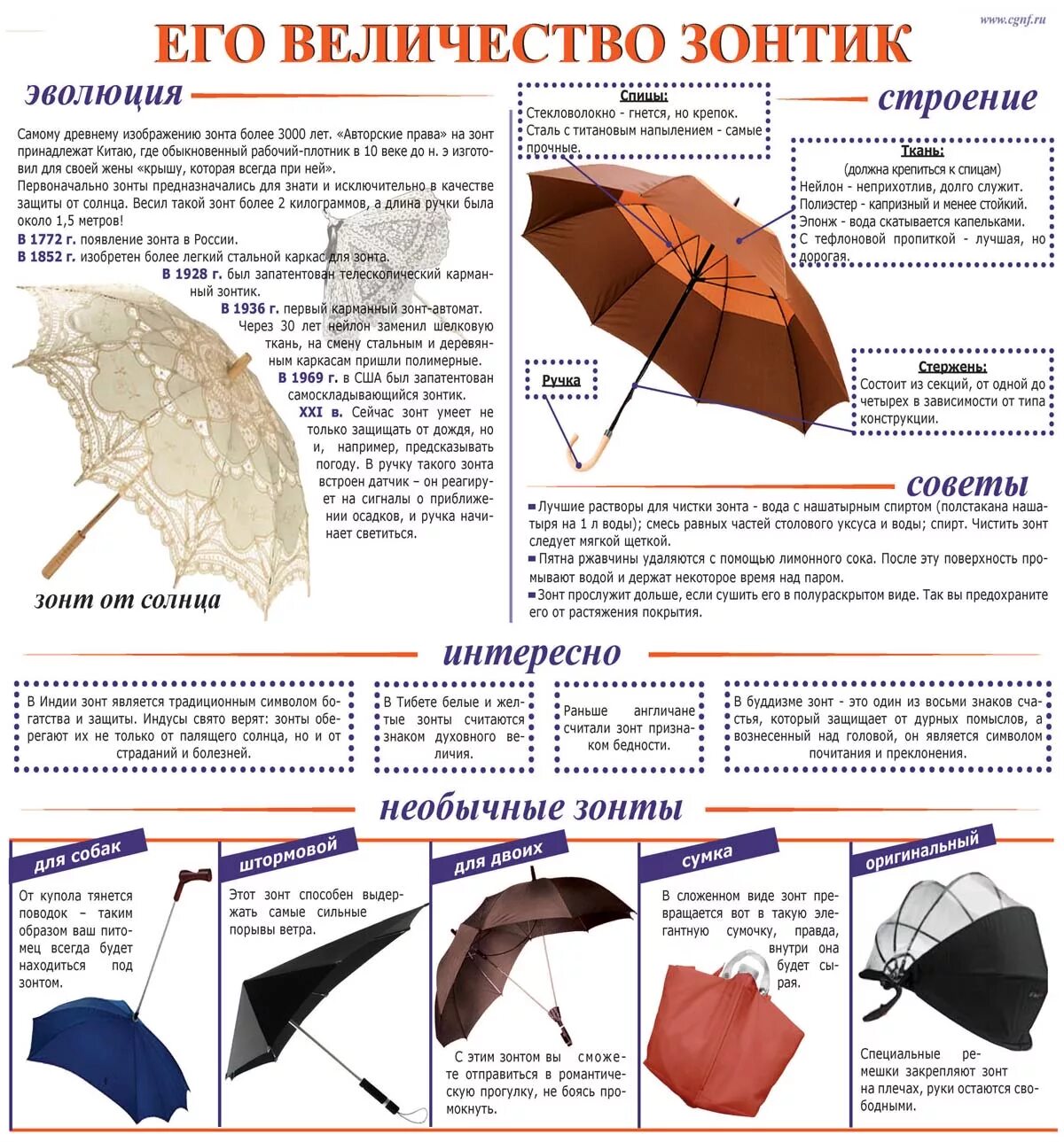 Составляющие зонта. Составляющие зонта
