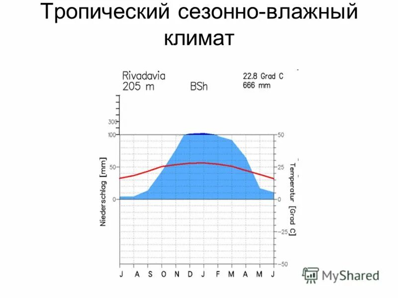 Влажный тропический климат это