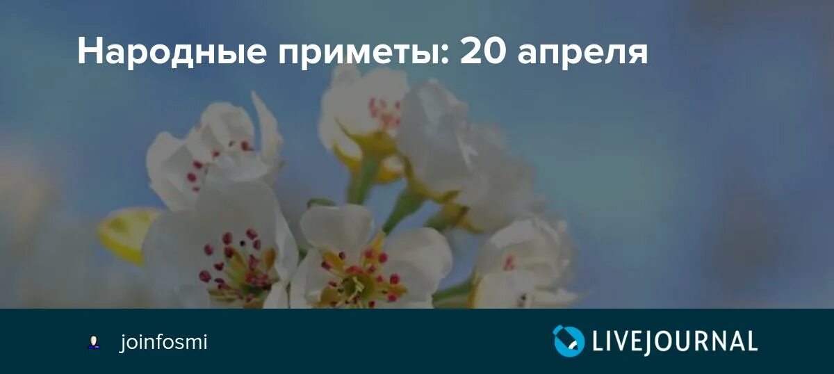 Приметы на 10 апреля 2024 года. 20 Апреля народные приметы. Приметы апреля в картинках. 20 Мая народные приметы картинки.