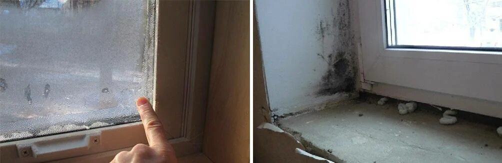 На пластиковых окнах образуется. Грибок на пластиковых окнах. плесень на окнах. плесень на пластиковых окнах. конденсат и плесень на окнах.