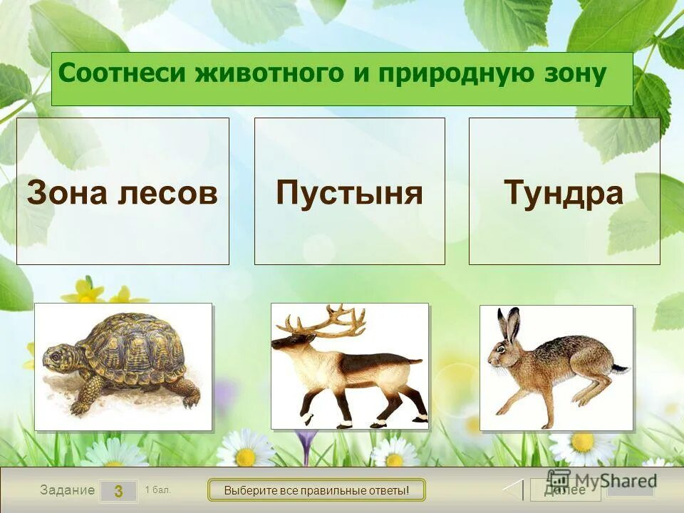 Задание на соотнесение предметов. Карточки африканские животные. Животные соотнести слова английский. Карточки для дошкольников домашние животные. Соотнеси животных предметы и их цвета.