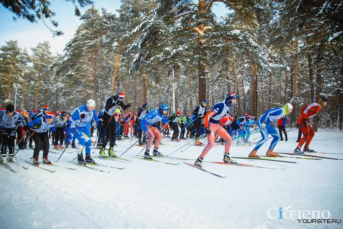 Кузбасс спортивный картинки. Конкурс лучший спортсмен при образовании кемеровская область. Новости спорта кузбасса. Кузбасс лыжи. Гто кузбасс.