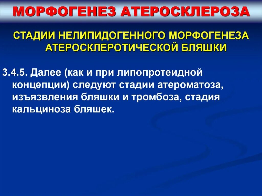 Стадии морфогенеза атеросклероза. Макроскопические стадии атеросклероза. Стадии морфогенеза атеросклероза и частые осложнения. Стадии развития атеросклеротической бляшки. Степени тромбоза