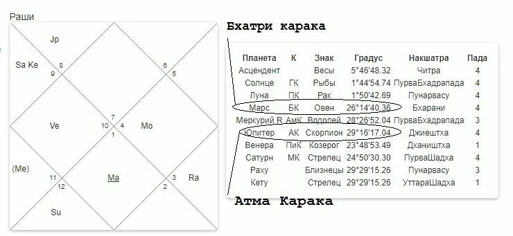 Джйотиш карта. Караки домов джйотиш. Бхавы в джйотиш. Караки домов в ведической астрологии. Навамша в джйотиш.