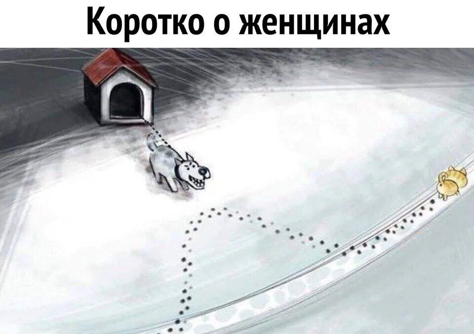 Поиме дополнительных проблем. Как суть женщины. Женское буду готова через 5 минут и мужское. Карикатура собака на цепи. Женская дружба прикол.