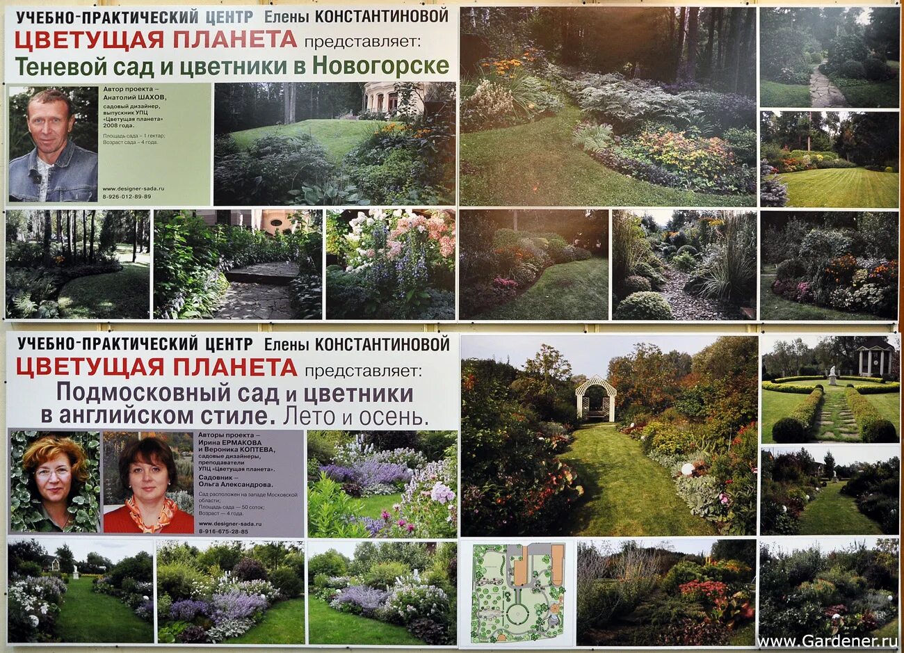 Сады ирины сахаровой. Территория женщины. Цветущая школа. Цветущая планета школа ландшафтного дизайна. Центр расцветай.