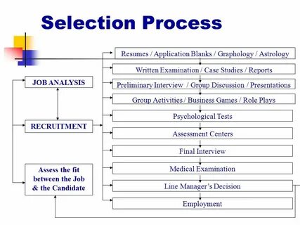 Selection перевод с английского