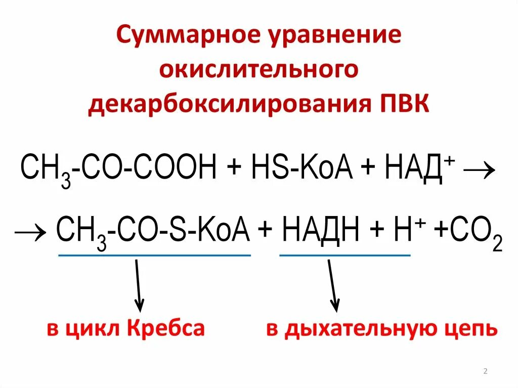 Окислительное декарбоксилирование реакции. Суммарное уравнение окислительного декарбоксилирования ПВК. Суммарное уравнение реакций окислительного декарбоксилирования ПВК. Схема реакции окислительного декарбоксилирования пирувата. Суммарная реакция окислительного декарбоксилирования пирувата.