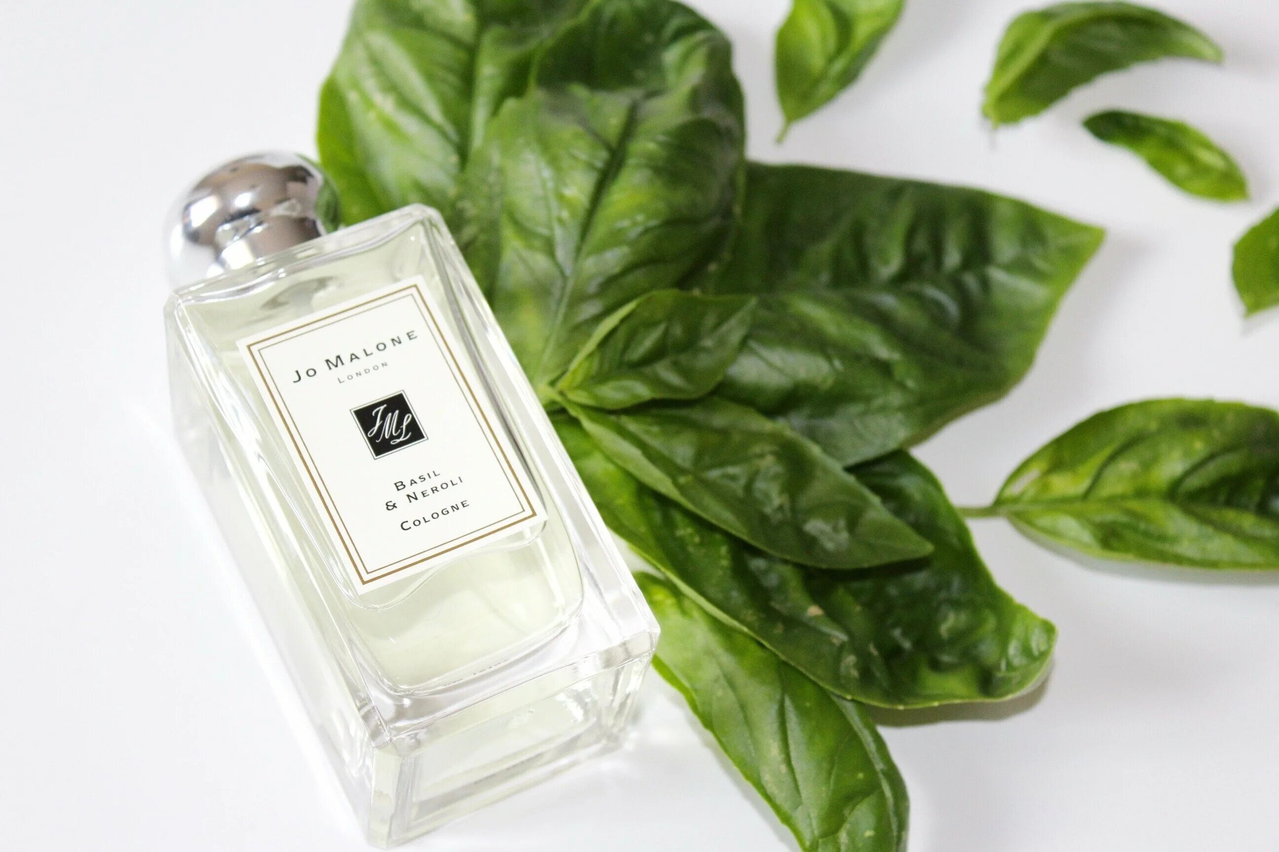 парюм с ромат скошенглй травы. духи с ароматом травы. духи с ароматом травы. парфюм с ароматом свежескошенной травы. духи свежескошенная трава деметр.