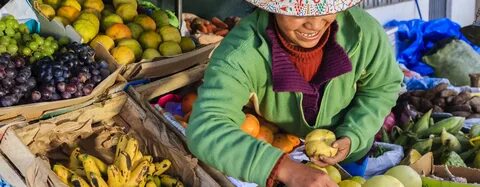 Sell fruit
