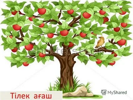 Орман жанындағы саяжайдағы екі ер адамның суреті