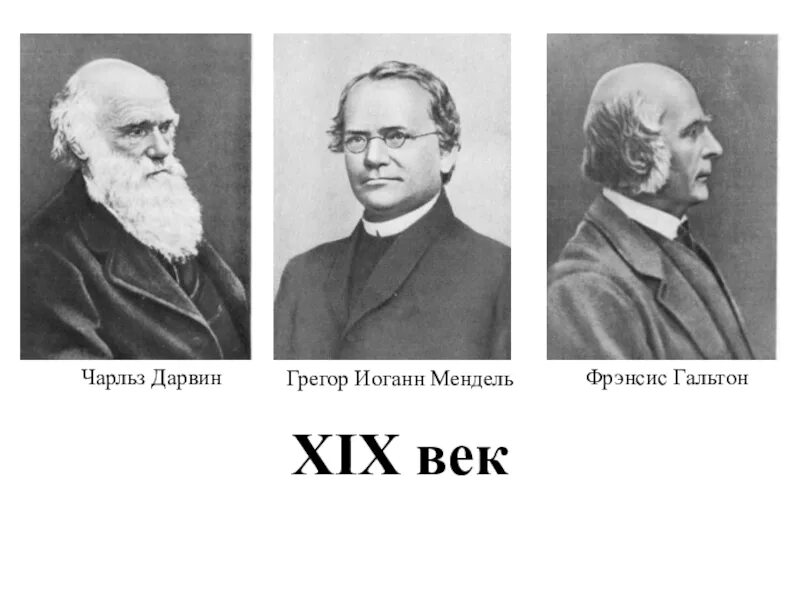 Мендель и морган вклад в биологию. Генетика картинки mendel. Грегор иоганн мендель (1822-1884). Грегор мендель биолог. Дарвин мендель.