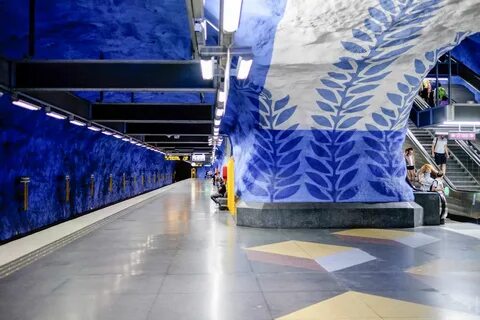 Синяя ветка