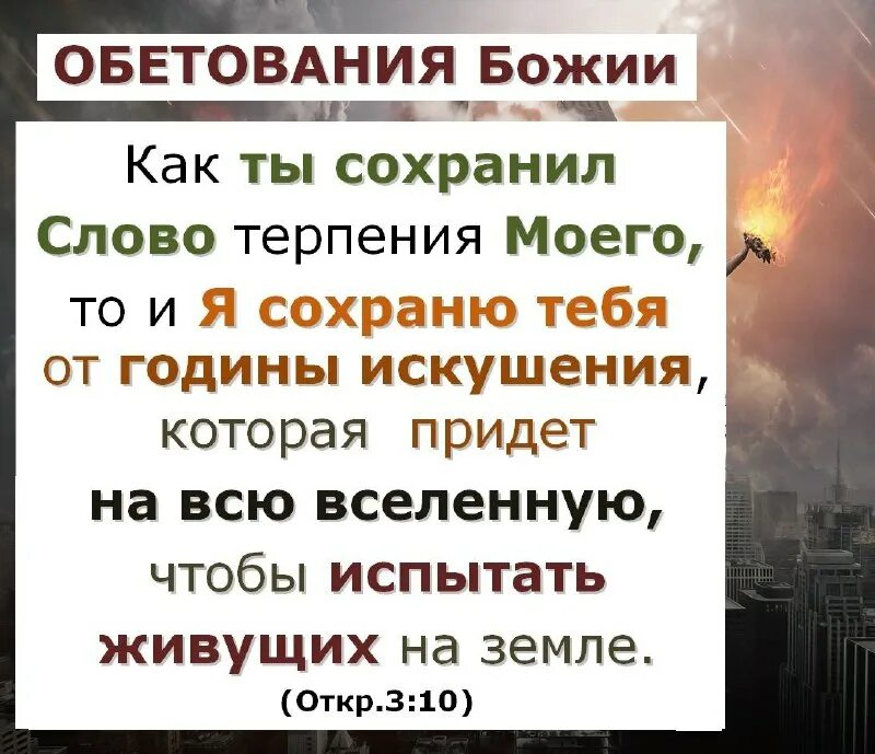 Любовь это когда ссоритесь. Покажи меня картинку покажи меня картинку. Стихи дж байрона. А я в сохраненных. Цитаты про русскую интеллигенцию.