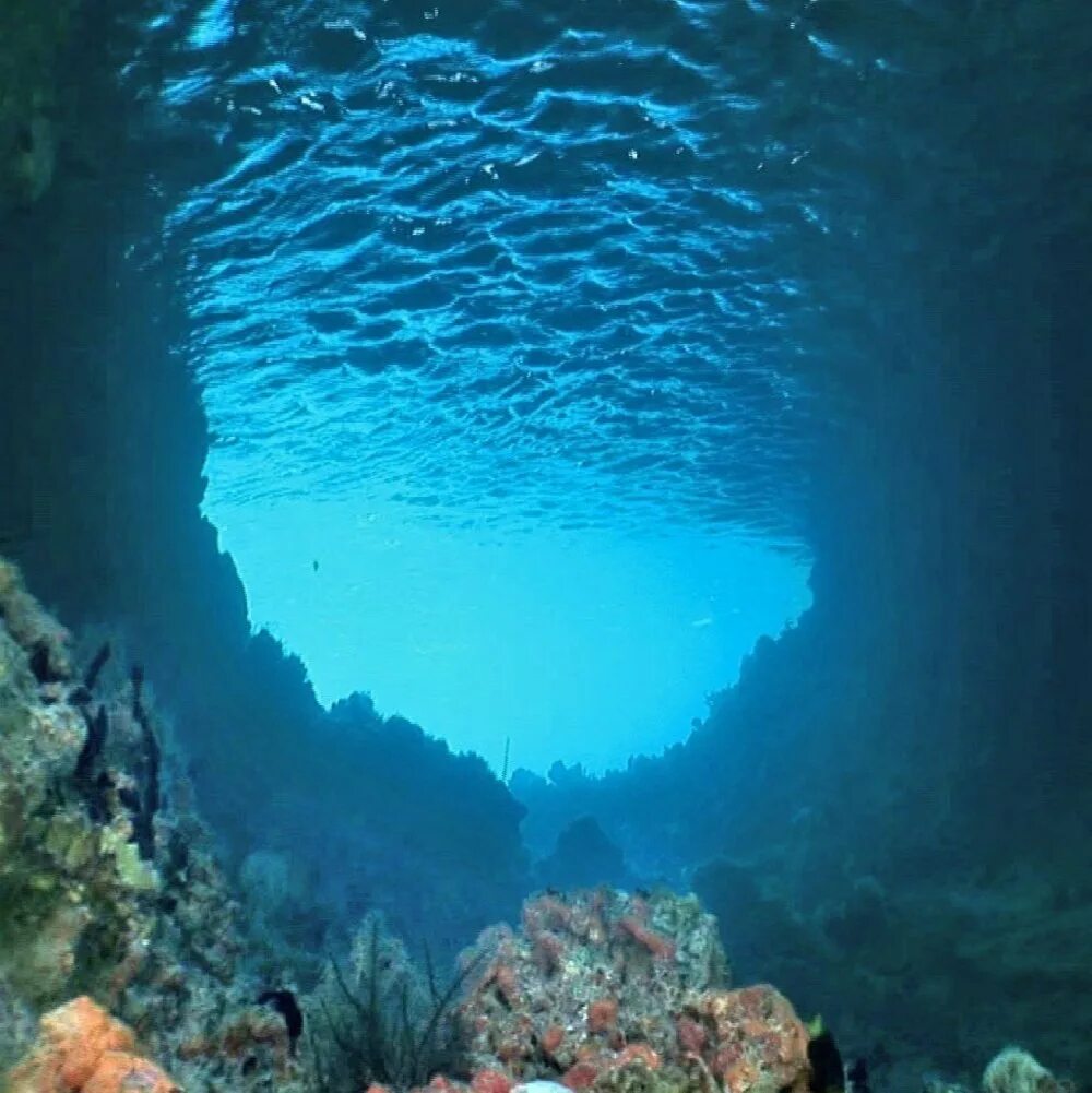 Морских глубин и океанов в. Морские глубины. океаны. глубина. море под водой.