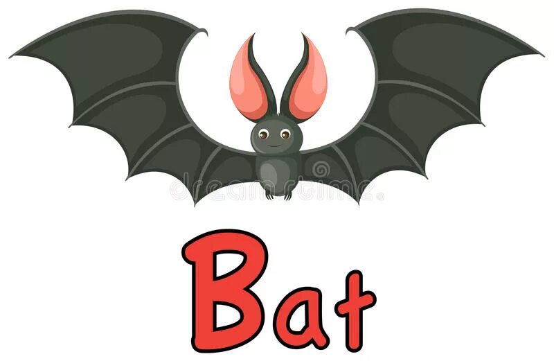 Bat перевод с английского