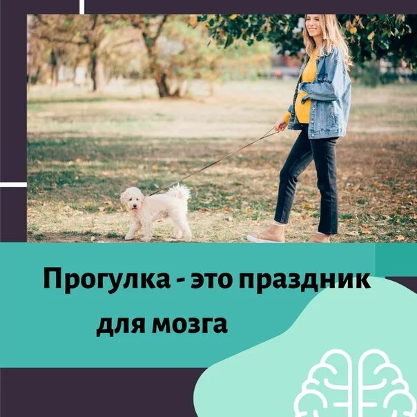 День прогулки с собакой. В какое время надо гулять с собакой. Сколько нужно гулять с собакой в день. Сколько времени гулять с собакой.