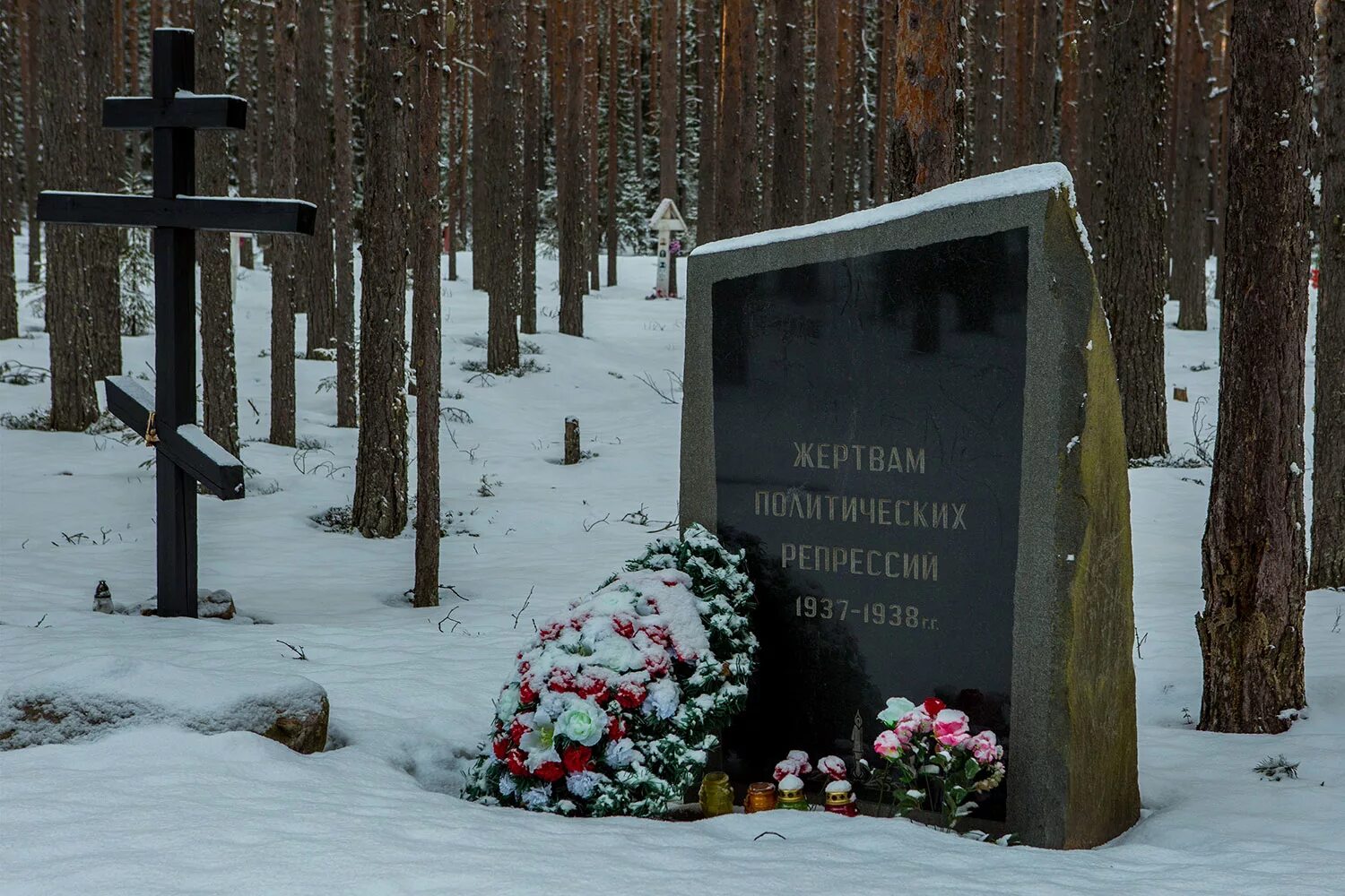 Дела жертв политических репрессий. Кладбище в левашово санкт-петербург. Жертвы репрессий. День памяти жертв политических репрессий. День памяти жертв политических репрессий.
