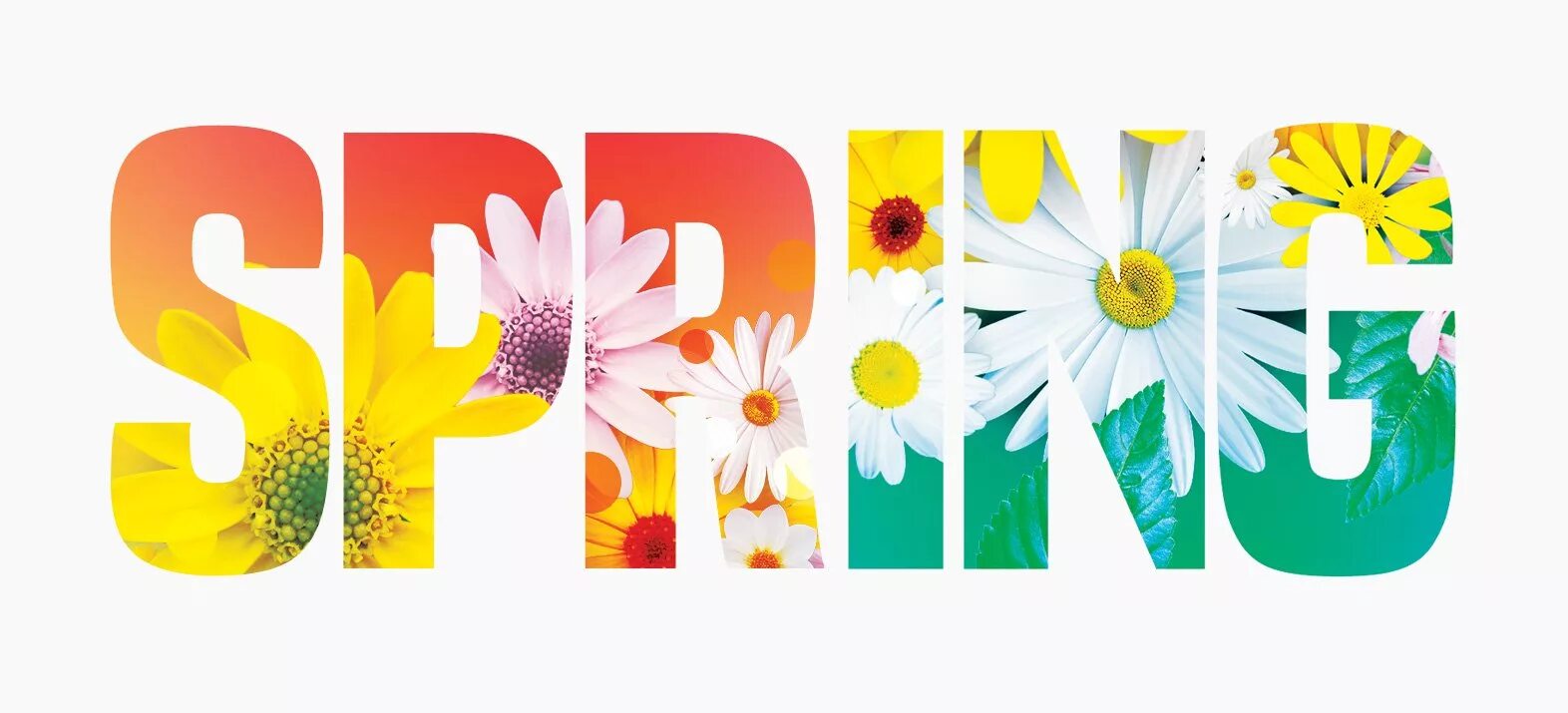 Spring is here goodbye snow. Spring надпись. goodbye winter hello spring. spring is coming soon.