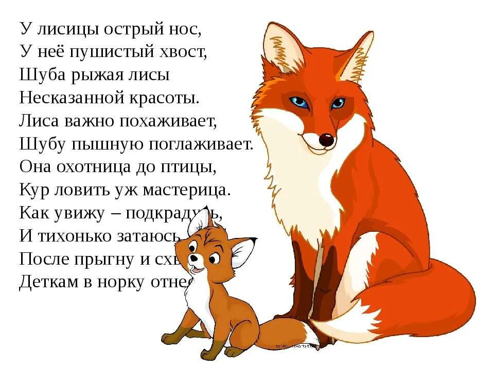 Стихи про животных класс. Стихи про животных для детей. Стих про лицо. Стишки про лису. Стих про лисичку.