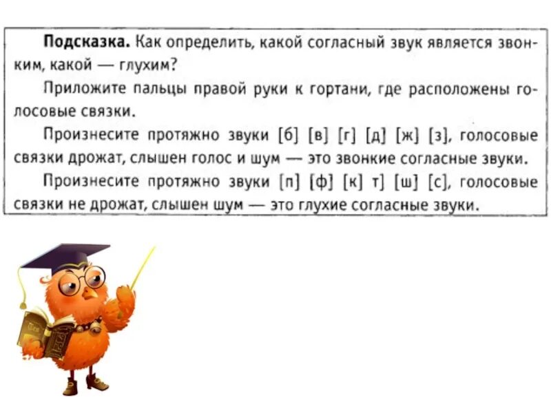 Как отличить звонкие от глухих. Звонкие и глухие согласные звуки. Звонкие и глухие согласные 2 класс. Парные глухие согласные звуки. Как различить звонкие и глухие согласные.