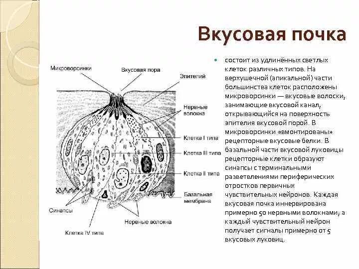 Оххх, тут кажется 404.