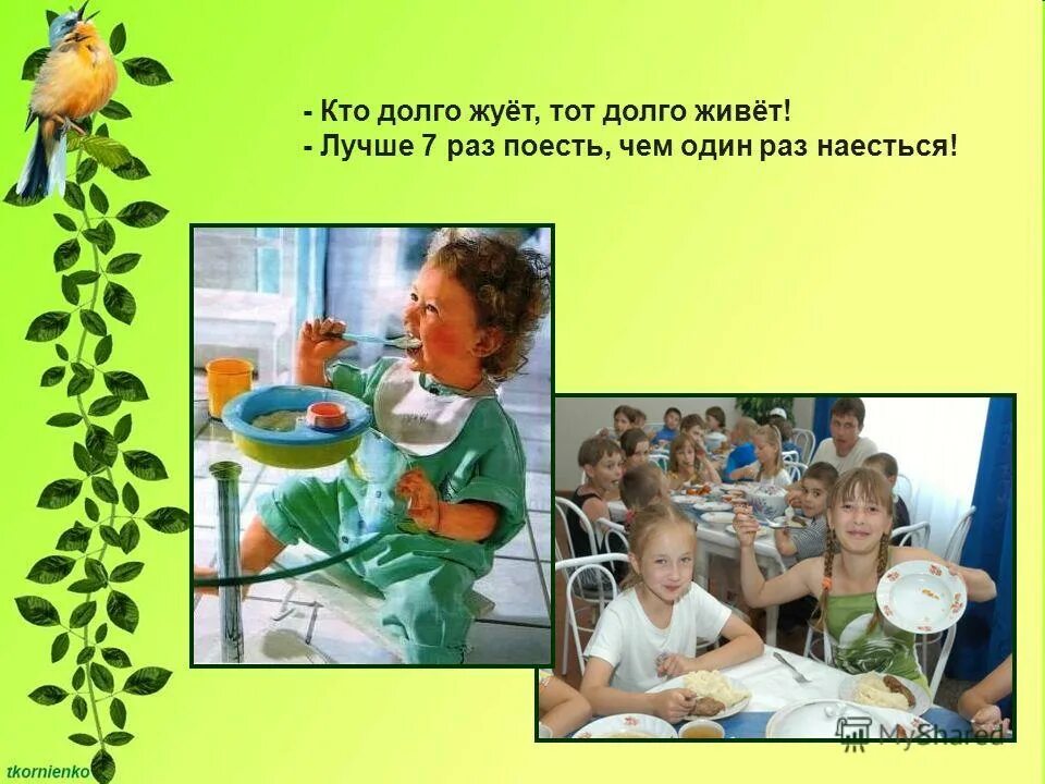 кто долго жуёт. кто долго тот долго живет. тщательно жевать пищу. долго жуешь долго живешь беседа. объясни пословицу.