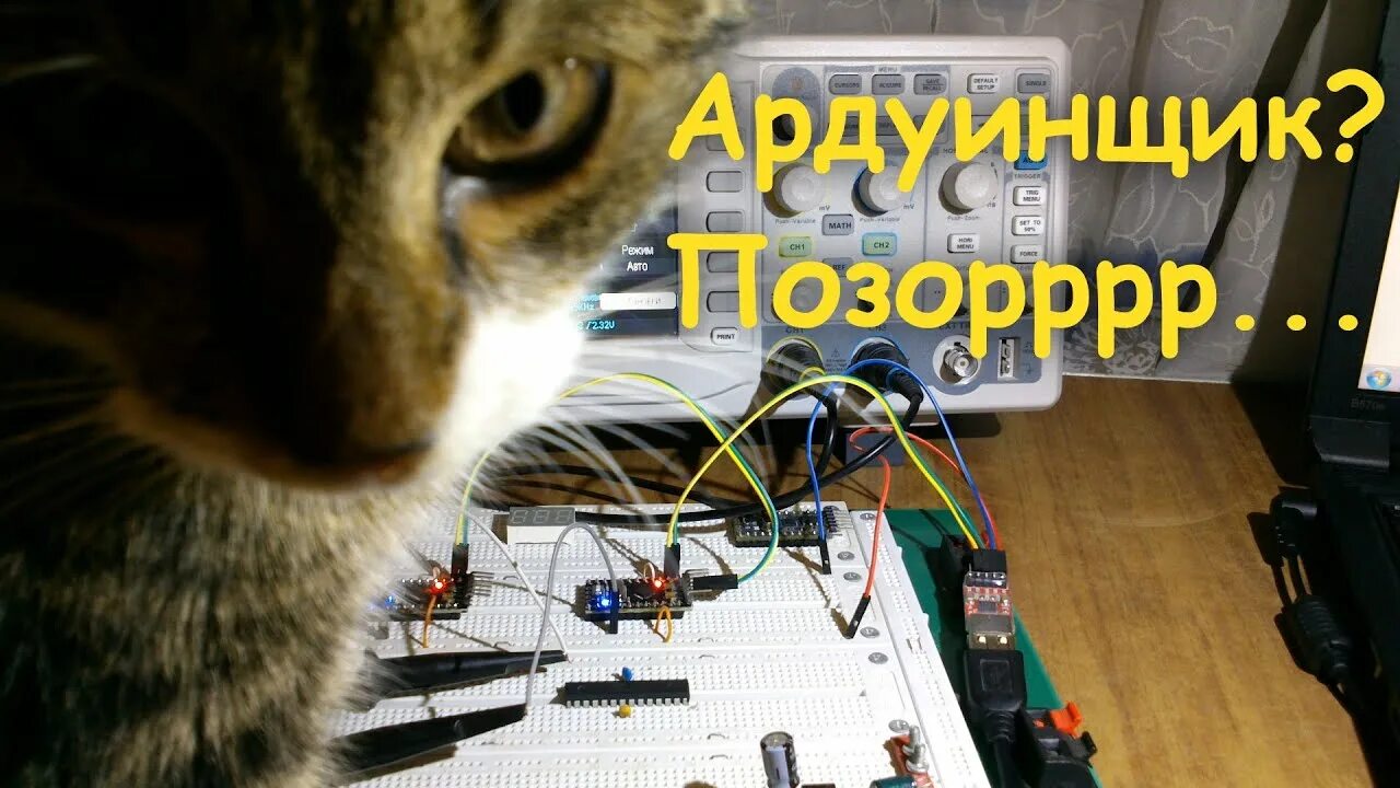 Кто такой ардуинщик. Кто такой ардуинщик
