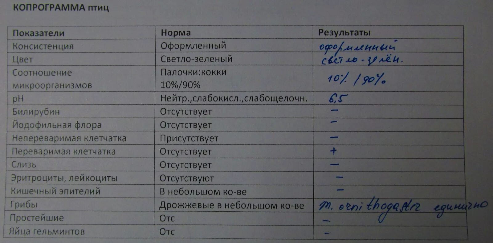 Анализ кала у мужчин. Копрологическое исследование кала норма. Копрограмма кала показатели в норме. Норма копрологии кала у детей. Копрограмма норма у взрослых таблица.