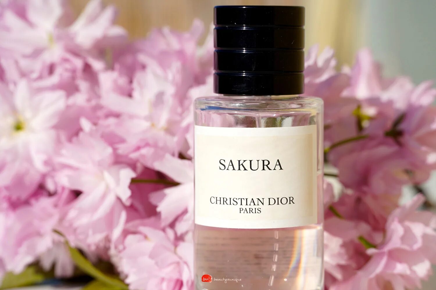 Духи диор Сакура. Диор Сакура Парфюм. Кристиан диор Сакура духи. Sakura Maison Christian Dior. Духи cherry blossom