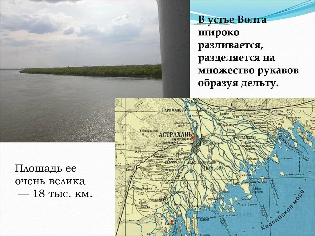 Река волга 6 класс. Астрахань Устье реки Волги. Презентация на тему Волга. Река Волга презентация. Доклад про Волгу.