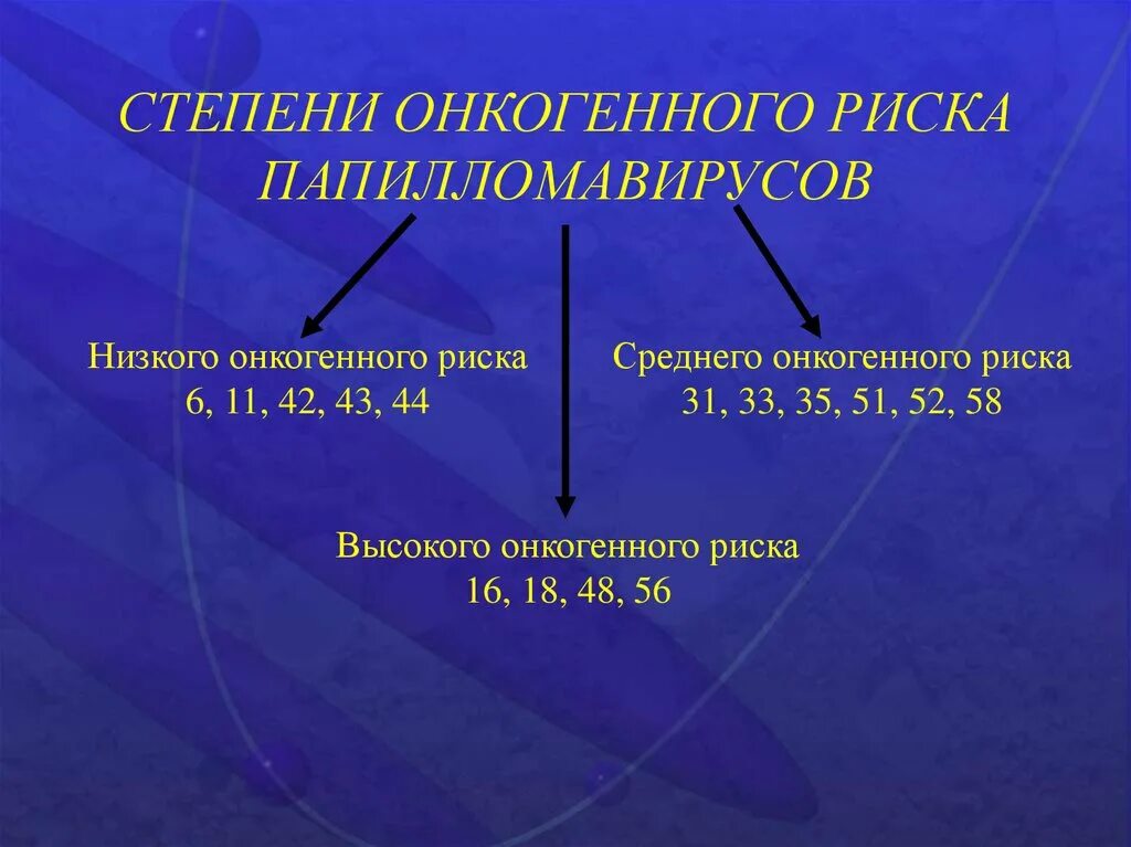 Онкогенного риска что это. Онкогенный риск что это. Высокий онкогенный риск что это. Какие высокого онкогенного риска.