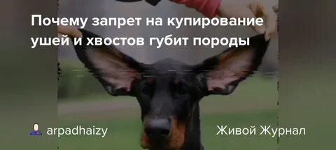 Зачем купируют хвосты