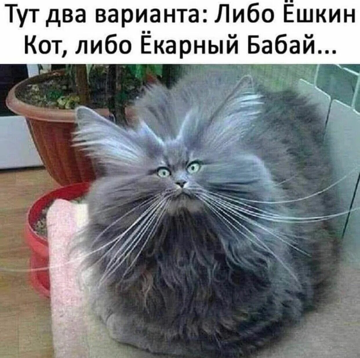 Тут два