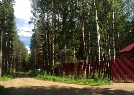 Участок бор