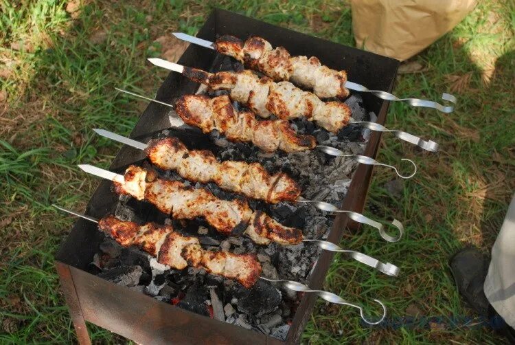 Шашлык в кузьминках. Шашлыки в парке. шашлыки в парках. парк для шашлыков. шашлык в огороде.