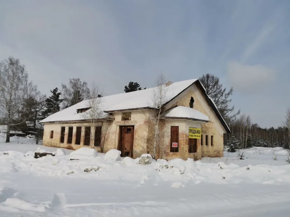 Поселок Родина. Посёлок зелёный дол Богородского района. Лагерь дом. П лосиный